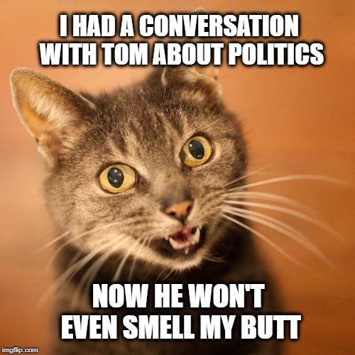 I HAD A CONVERSATION WITH TOM ABOUT POLITICS; NOW HE WON'T EVEN SMELL MY BUTT | image tagged in cat meme,political meme,i should buy a boat cat,smells,smelly,smell | made w/ Imgflip meme maker