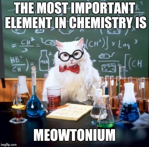 Chemistry Cat | THE MOST IMPORTANT ELEMENT IN CHEMISTRY IS; MEOWTONIUM | image tagged in memes,chemistry cat | made w/ Imgflip meme maker