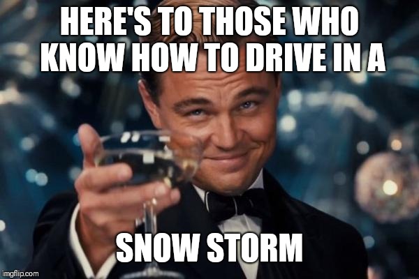 Leonardo Dicaprio Cheers Meme | HERE'S TO THOSE WHO KNOW HOW TO DRIVE IN A; SNOW STORM | image tagged in memes,leonardo dicaprio cheers | made w/ Imgflip meme maker