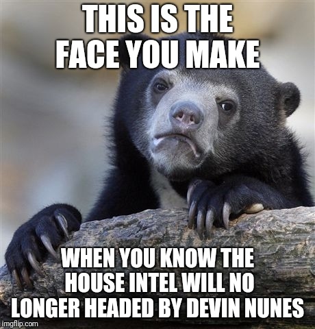 Confession Bear Meme | THIS IS THE FACE YOU MAKE; WHEN YOU KNOW THE HOUSE INTEL WILL NO LONGER HEADED BY DEVIN NUNES | image tagged in memes,confession bear | made w/ Imgflip meme maker