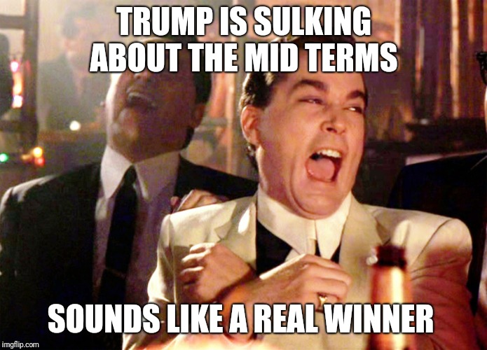 Good Fellas Hilarious Meme | TRUMP IS SULKING ABOUT THE MID TERMS; SOUNDS LIKE A REAL WINNER | image tagged in memes,good fellas hilarious | made w/ Imgflip meme maker