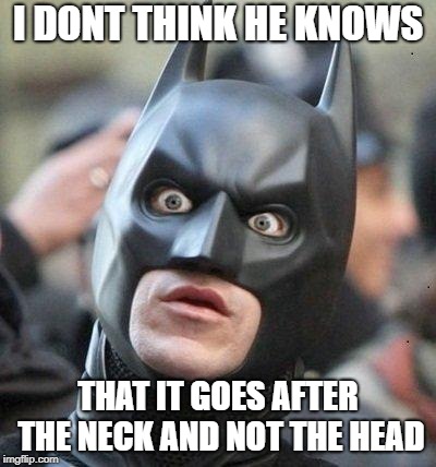 Shocked Batman | I DONT THINK HE KNOWS THAT IT GOES AFTER THE NECK AND NOT THE HEAD | image tagged in shocked batman | made w/ Imgflip meme maker
