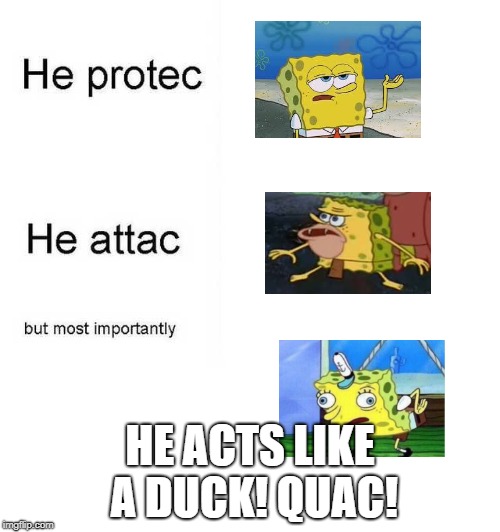 Quack Quack! | HE ACTS LIKE A DUCK! QUAC! | image tagged in he protec he attac but most importantly | made w/ Imgflip meme maker