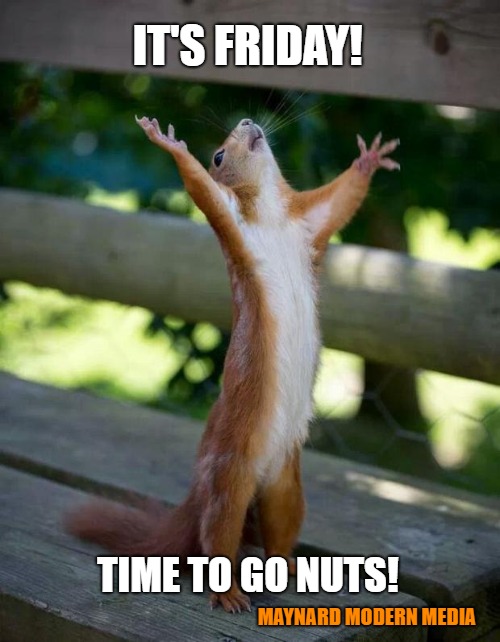 Happy Squirrel | IT'S FRIDAY! TIME TO GO NUTS! MAYNARD MODERN MEDIA | image tagged in happy squirrel | made w/ Imgflip meme maker