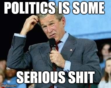 Confused Bush | POLITICS IS SOME SERIOUS SHIT | image tagged in confused bush | made w/ Imgflip meme maker