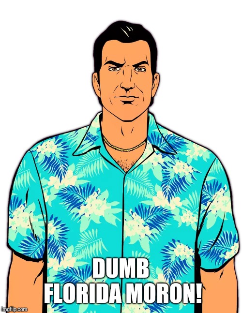 Dumb Florida moron! | DUMB FLORIDA MORON! | image tagged in tommy vercetti,grand theft auto,vice city | made w/ Imgflip meme maker