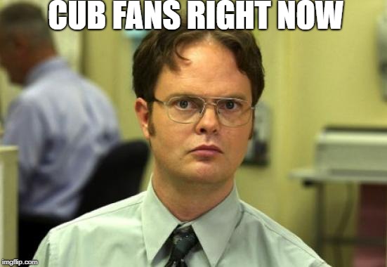 Dwight Schrute | CUB FANS RIGHT NOW | image tagged in memes,dwight schrute | made w/ Imgflip meme maker