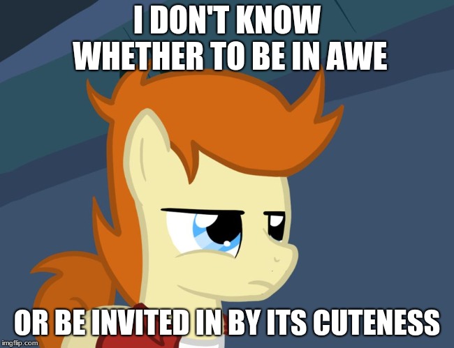 Futurama Fry Pony | I DON'T KNOW WHETHER TO BE IN AWE OR BE INVITED IN BY ITS CUTENESS | image tagged in futurama fry pony | made w/ Imgflip meme maker