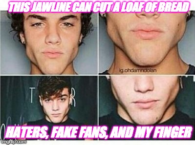 THIS JAWLINE CAN CUT A LOAF OF BREAD; HATERS, FAKE FANS, AND MY FINGER | image tagged in dolan twins | made w/ Imgflip meme maker