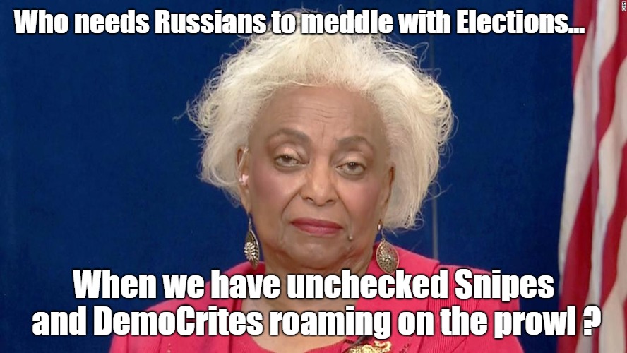 Who needs Russians when we have Snipes and Democrites? |  Who needs Russians to meddle with Elections... When we have unchecked Snipes and DemoCrites roaming on the prowl ? | image tagged in brenda snipes,florida election fraus,russian meddling | made w/ Imgflip meme maker