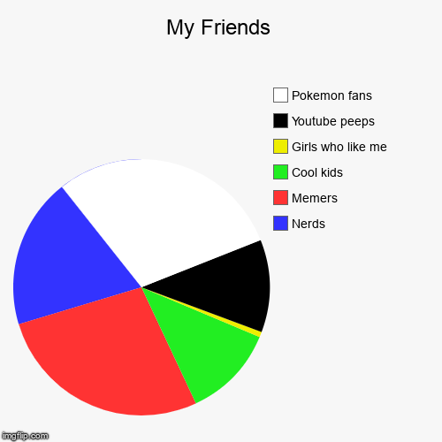 My Friends | Nerds, Memers, Cool kids, Girls who like me, Youtube peeps , Pokemon fans | image tagged in funny,pie charts | made w/ Imgflip chart maker