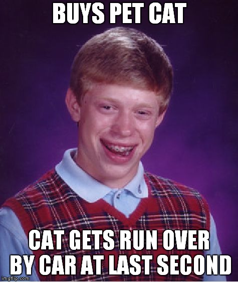 Bad Luck Brian Meme | BUYS PET CAT; CAT GETS RUN OVER BY CAR AT LAST SECOND | image tagged in memes,bad luck brian | made w/ Imgflip meme maker