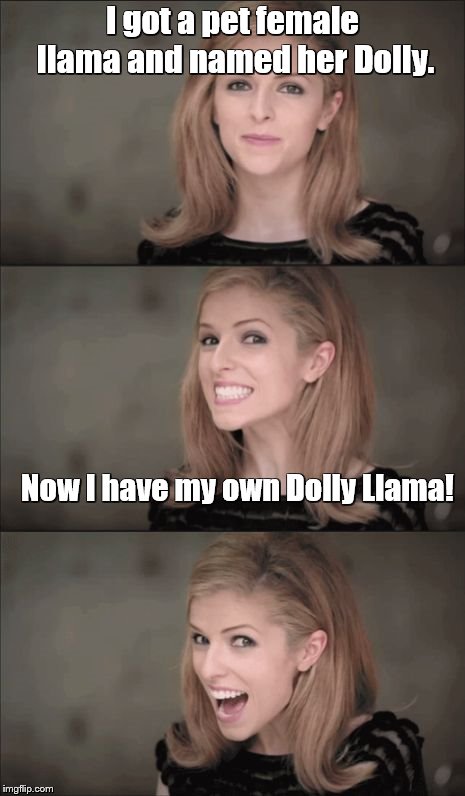 Bad Pun Anna Kendrick | I got a pet female llama and named her Dolly. Now I have my own Dolly Llama! | image tagged in memes,bad pun anna kendrick,bad puns,dalai lama,llamas | made w/ Imgflip meme maker