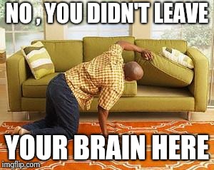 searching  | NO , YOU DIDN'T LEAVE YOUR BRAIN HERE | image tagged in searching | made w/ Imgflip meme maker