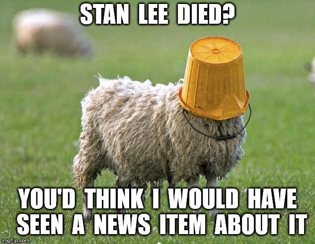 stupid sheep | STAN  LEE  DIED? YOU'D  THINK  I  WOULD  HAVE  SEEN  A  NEWS  ITEM  ABOUT  IT | image tagged in stupid sheep | made w/ Imgflip meme maker
