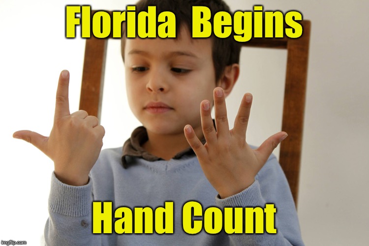 When you resort to hand counting because you don’t trust the calculator | Florida  Begins; Hand Count | image tagged in memes,meanwhile in florida,vote,voting ballot | made w/ Imgflip meme maker