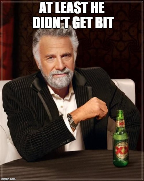 The Most Interesting Man In The World Meme | AT LEAST HE DIDN'T GET BIT | image tagged in memes,the most interesting man in the world | made w/ Imgflip meme maker