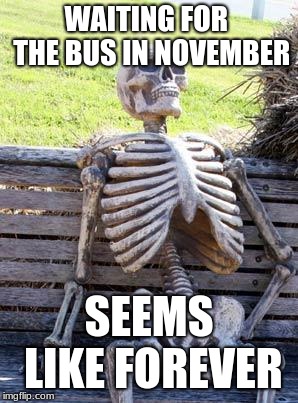 Waiting Skeleton Meme | WAITING FOR  THE BUS IN NOVEMBER; SEEMS LIKE FOREVER | image tagged in memes,waiting skeleton | made w/ Imgflip meme maker