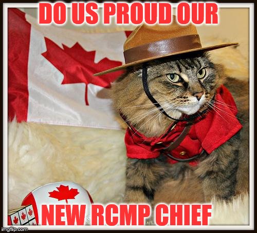 our new rcmp chief | DO US PROUD OUR; NEW RCMP CHIEF | image tagged in canada cat,cat,funny,canada,police | made w/ Imgflip meme maker