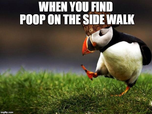 Unpopular Opinion Puffin Meme | WHEN YOU FIND POOP ON THE SIDE WALK | image tagged in memes,unpopular opinion puffin,scumbag | made w/ Imgflip meme maker