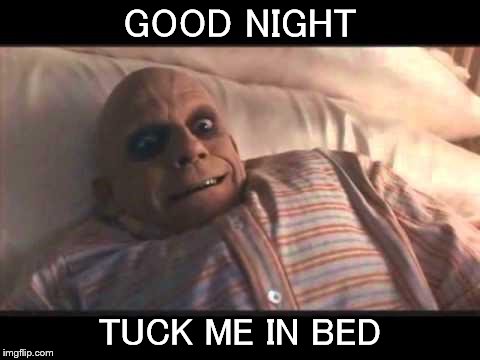 tuck me in bed | GOOD NIGHT; TUCK ME IN BED | image tagged in good night,funny memes | made w/ Imgflip meme maker