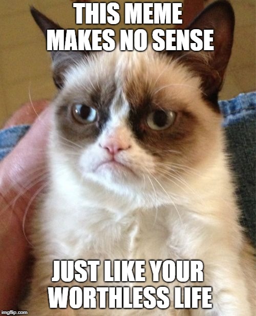 Grumpy Cat Meme | THIS MEME MAKES NO SENSE JUST LIKE YOUR WORTHLESS LIFE | image tagged in memes,grumpy cat | made w/ Imgflip meme maker