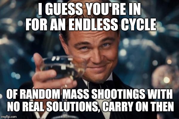 Leonardo Dicaprio Cheers Meme | I GUESS YOU'RE IN FOR AN ENDLESS CYCLE OF RANDOM MASS SHOOTINGS WITH NO REAL SOLUTIONS, CARRY ON THEN | image tagged in memes,leonardo dicaprio cheers | made w/ Imgflip meme maker