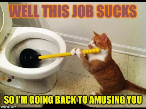 WELL THIS JOB SUCKS SO I'M GOING BACK TO AMUSING YOU | made w/ Imgflip meme maker