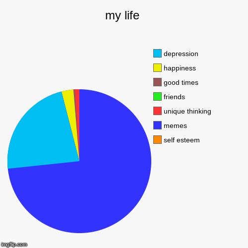 my life | self esteem , memes, unique thinking, friends, good times, happiness, depression | image tagged in funny,pie charts | made w/ Imgflip chart maker