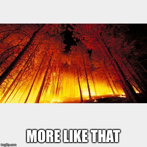 wildfires | MORE LIKE THAT | image tagged in wildfires | made w/ Imgflip meme maker