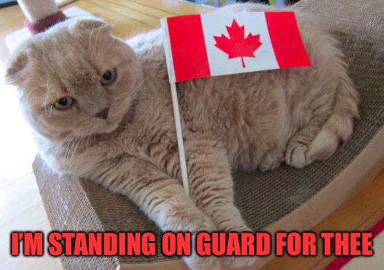 I’M STANDING ON GUARD FOR THEE | made w/ Imgflip meme maker