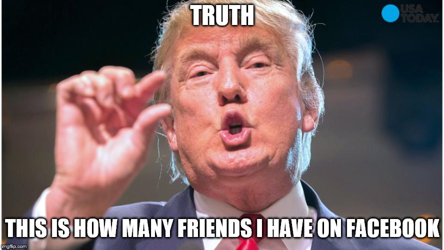 Donald Trump small brain | TRUTH; THIS IS HOW MANY FRIENDS I HAVE ON FACEBOOK | image tagged in donald trump small brain,facebook,funny | made w/ Imgflip meme maker