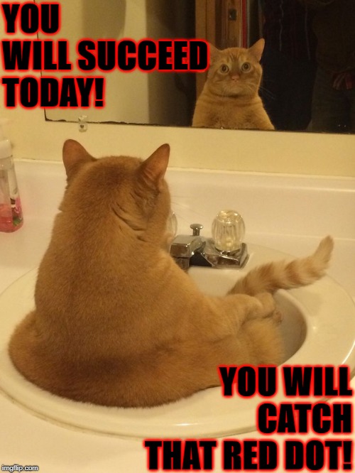 YOU WILL SUCCEED TODAY! YOU WILL CATCH THAT RED DOT! | image tagged in you will succeed | made w/ Imgflip meme maker