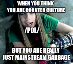 WHEN YOU THINK YOU ARE COUNTER CULTURE; /POL/; BUT YOU ARE REALLY JUST MAINSTREAM GARBAGE | image tagged in anarchomemes | made w/ Imgflip meme maker
