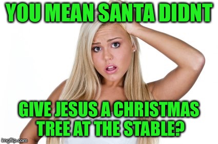 Dumb Blonde | YOU MEAN SANTA DIDNT GIVE JESUS A CHRISTMAS TREE AT THE STABLE? | image tagged in dumb blonde | made w/ Imgflip meme maker