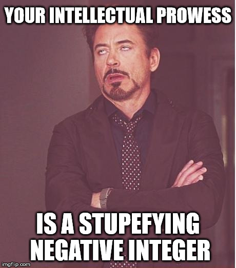 Face You Make Robert Downey Jr Meme | YOUR INTELLECTUAL PROWESS IS A STUPEFYING NEGATIVE INTEGER | image tagged in memes,face you make robert downey jr | made w/ Imgflip meme maker