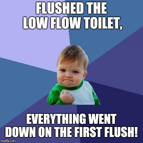 Success Kid Meme | FLUSHED THE LOW FLOW TOILET, EVERYTHING WENT DOWN ON THE FIRST FLUSH! | image tagged in memes,success kid | made w/ Imgflip meme maker
