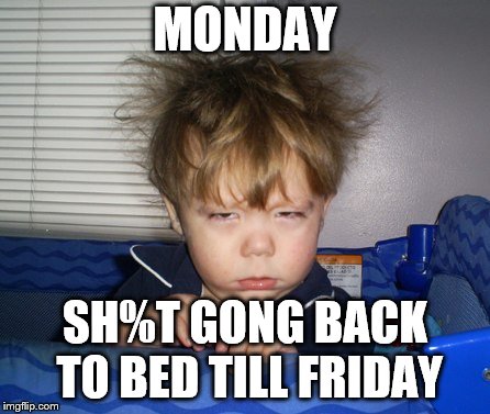 Monday Mornings | MONDAY; SH%T GONG BACK TO BED TILL FRIDAY | image tagged in monday mornings,bed | made w/ Imgflip meme maker