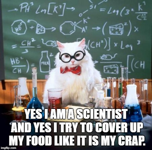 Chemistry Cat | YES I AM A SCIENTIST AND YES I TRY TO COVER UP MY FOOD LIKE IT IS MY CRAP. | image tagged in memes,chemistry cat | made w/ Imgflip meme maker