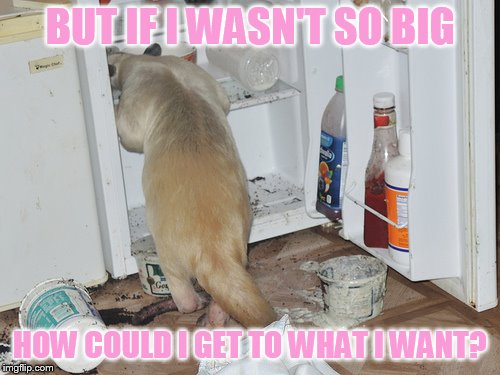 BUT IF I WASN'T SO BIG HOW COULD I GET TO WHAT I WANT? | made w/ Imgflip meme maker
