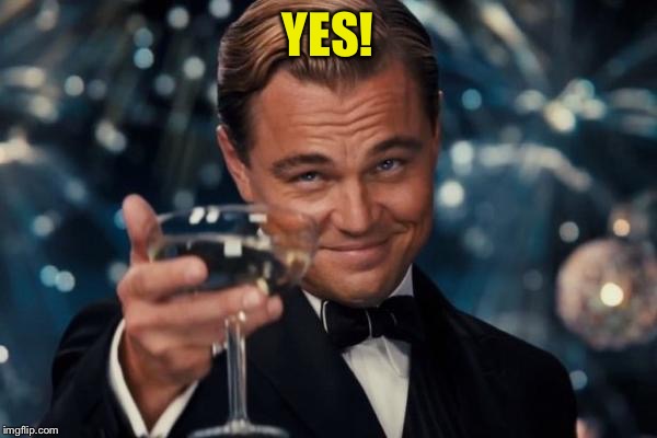 Leonardo Dicaprio Cheers Meme | YES! | image tagged in memes,leonardo dicaprio cheers | made w/ Imgflip meme maker