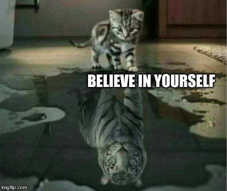 BELIEVE IN YOURSELF | image tagged in cats | made w/ Imgflip meme maker