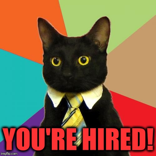 Business Cat Meme | YOU'RE HIRED! | image tagged in memes,business cat | made w/ Imgflip meme maker