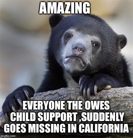 Confession Bear Meme | AMAZING; EVERYONE THE OWES CHILD SUPPORT ,SUDDENLY GOES MISSING IN CALIFORNIA | image tagged in memes,confession bear | made w/ Imgflip meme maker