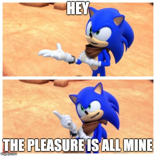 Sonic boom | HEY THE PLEASURE IS ALL MINE | image tagged in sonic boom | made w/ Imgflip meme maker