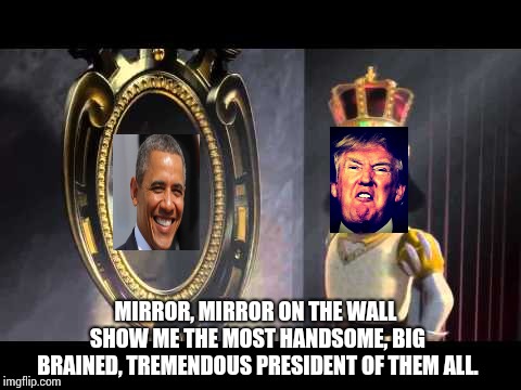 Mirror, Mirror You Crack Me Up. | MIRROR, MIRROR ON THE WALL SHOW ME THE MOST HANDSOME, BIG BRAINED, TREMENDOUS PRESIDENT OF THEM ALL. | image tagged in memes,meme,shrek for president,donald trump is an idiot,scumbag republicans,mirror mirror | made w/ Imgflip meme maker