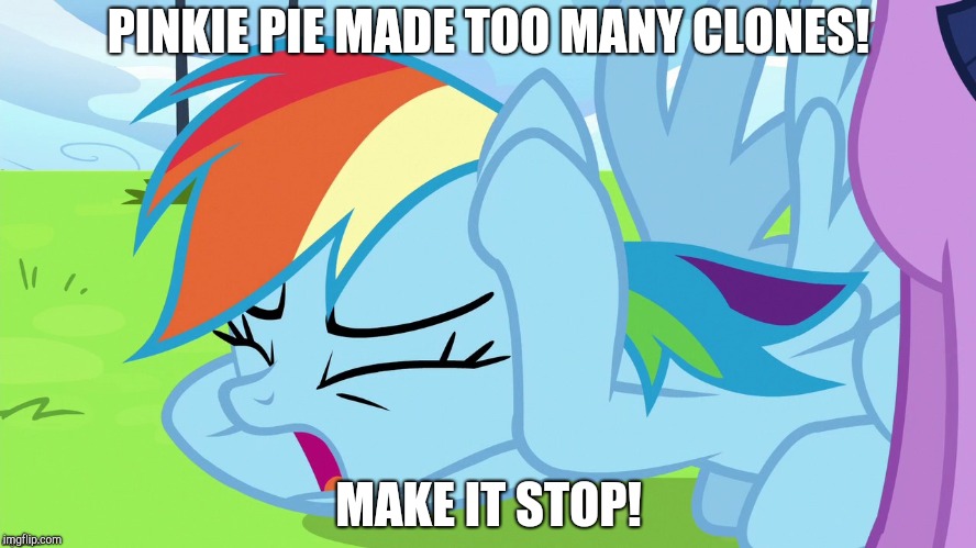 Too Many Pinkie Pies! | PINKIE PIE MADE TOO MANY CLONES! MAKE IT STOP! | image tagged in memes,my little pony,pinkie pie,rainbow dash,make it stop,reference | made w/ Imgflip meme maker