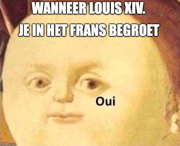 oui | JE IN HET FRANS BEGROET; WANNEER LOUIS XIV. | image tagged in oui | made w/ Imgflip meme maker