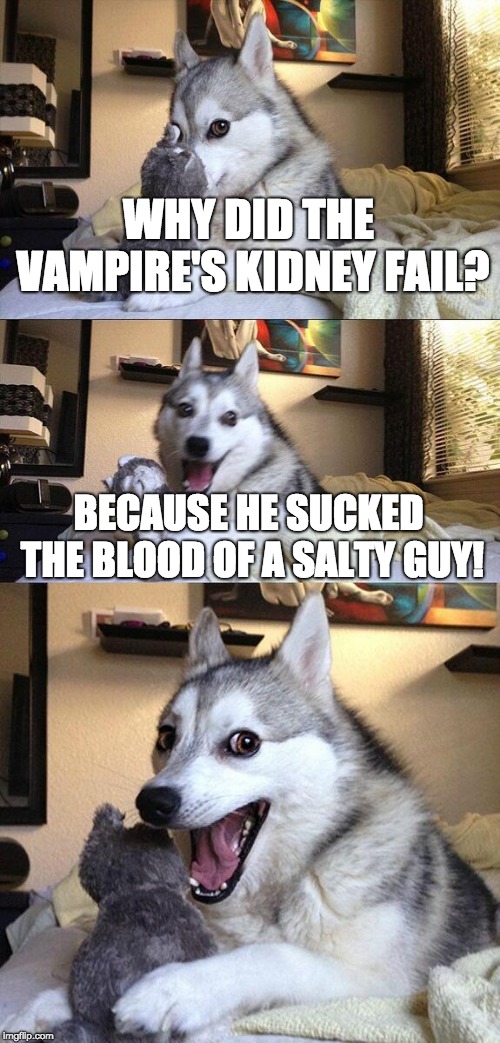 Bad Pun Dog Meme | WHY DID THE VAMPIRE'S KIDNEY FAIL? BECAUSE HE SUCKED THE BLOOD OF A SALTY GUY! | image tagged in memes,bad pun dog | made w/ Imgflip meme maker
