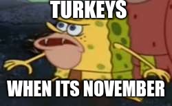 Spongegar Meme | TURKEYS; WHEN ITS NOVEMBER | image tagged in memes,spongegar | made w/ Imgflip meme maker